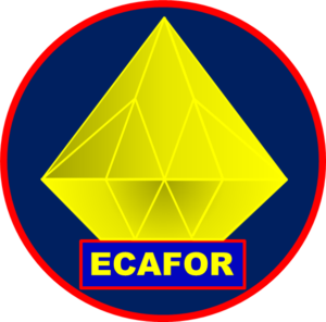 Le logo du cabinet ECAFOR